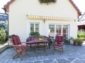 Comfortable holiday home in Saxony with terrace